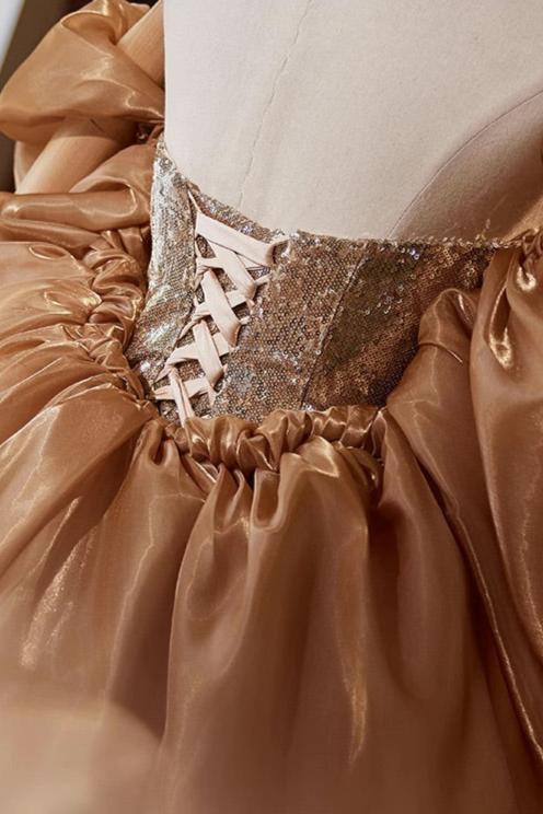Brown Sequin Tube Gown with Shawl