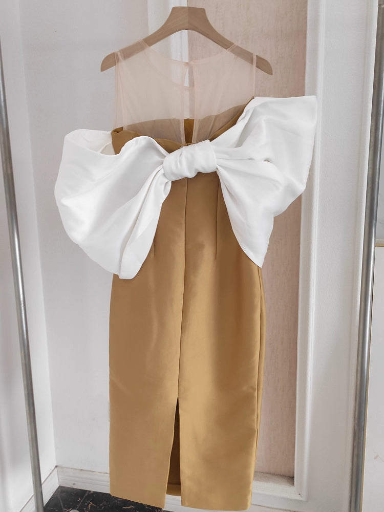 Brown and White Ribbon Dress