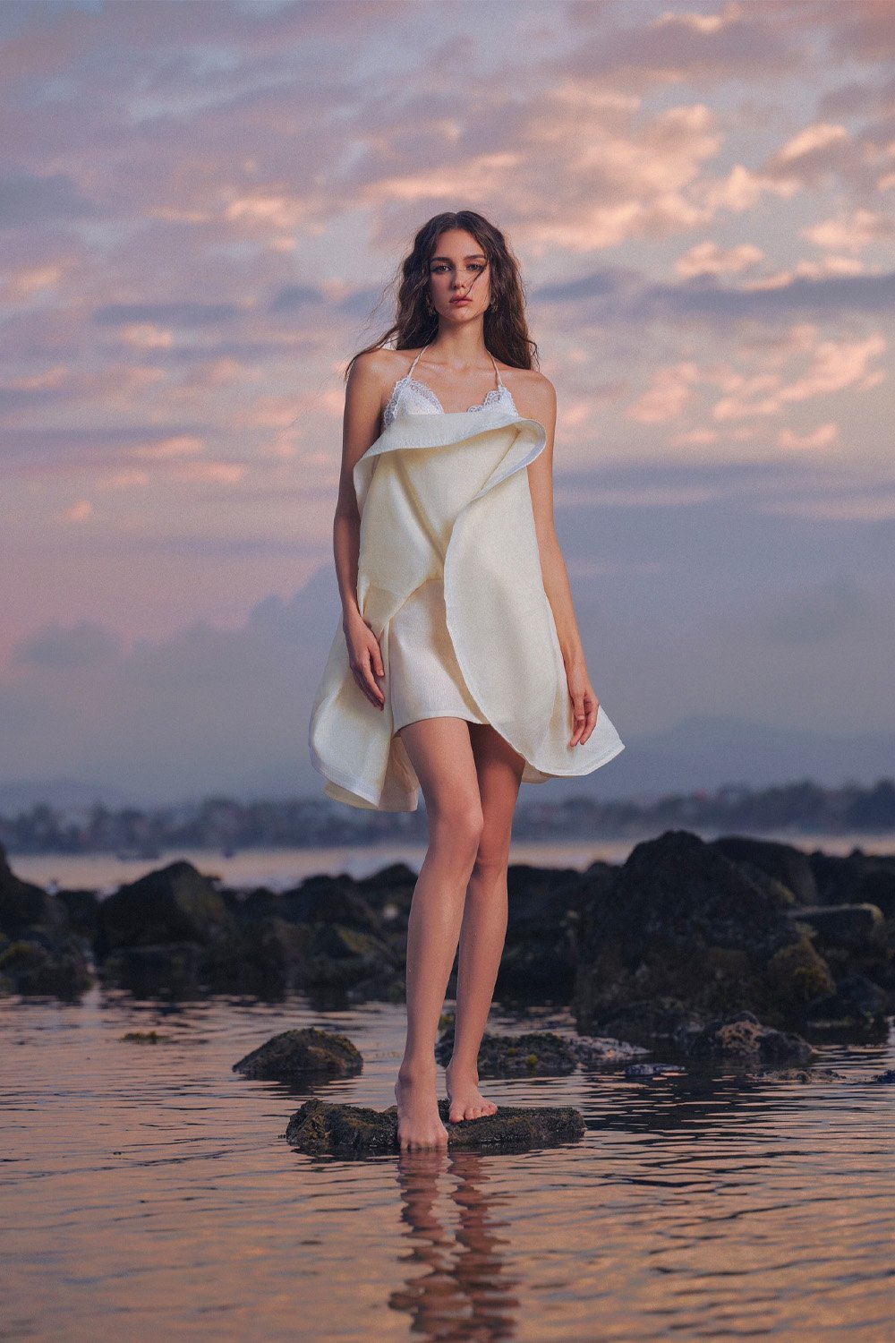 Eternal Sunshine Collection - The Bird