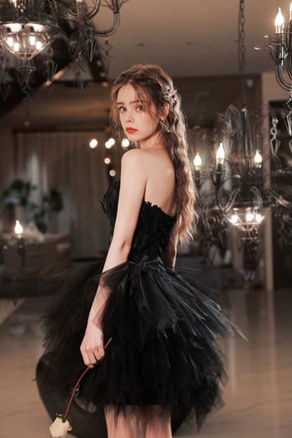 Black Ballerina Dress