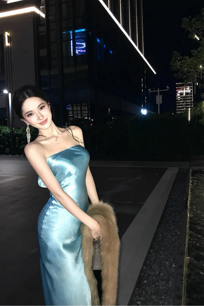 Blue Sequoia Dress